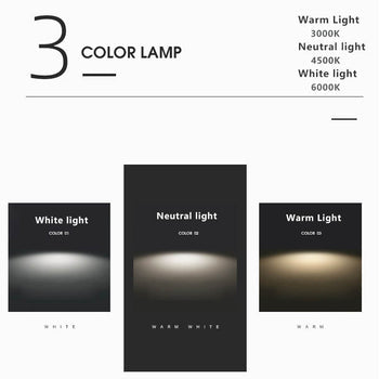 Circular LED Ceiling Lamp
