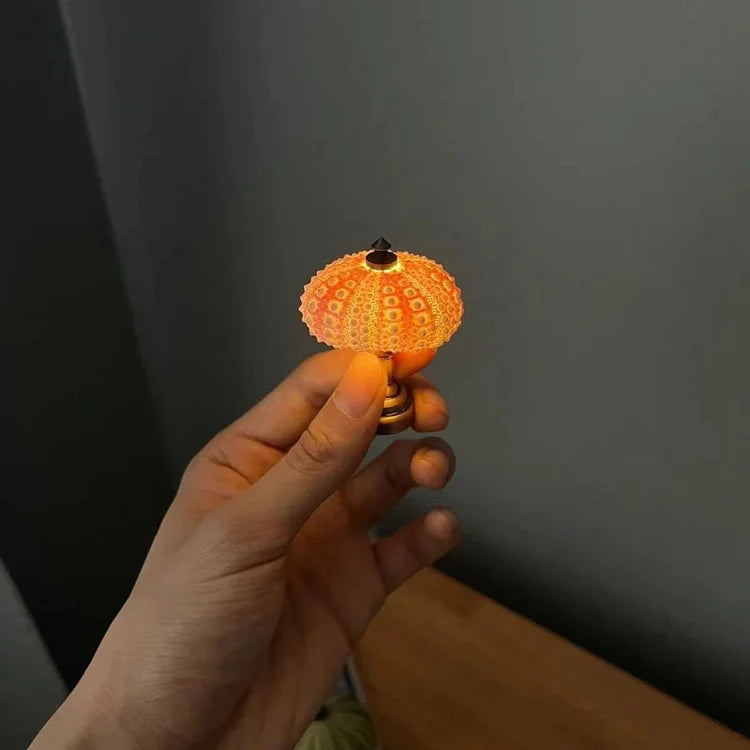 Sea Urchin Evening Lamp