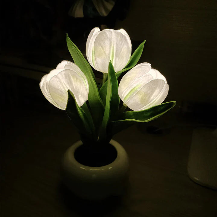 Tulip LED Desk Lamp in Ceramic Vase – Warm Ambient Light