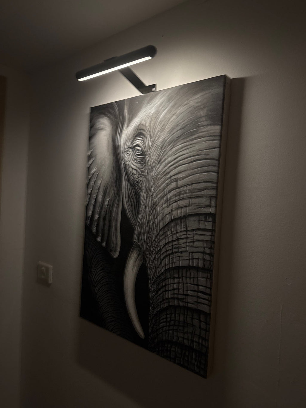 Wireless LED Art Light – Adjustable Wall Lamp for Display Pieces