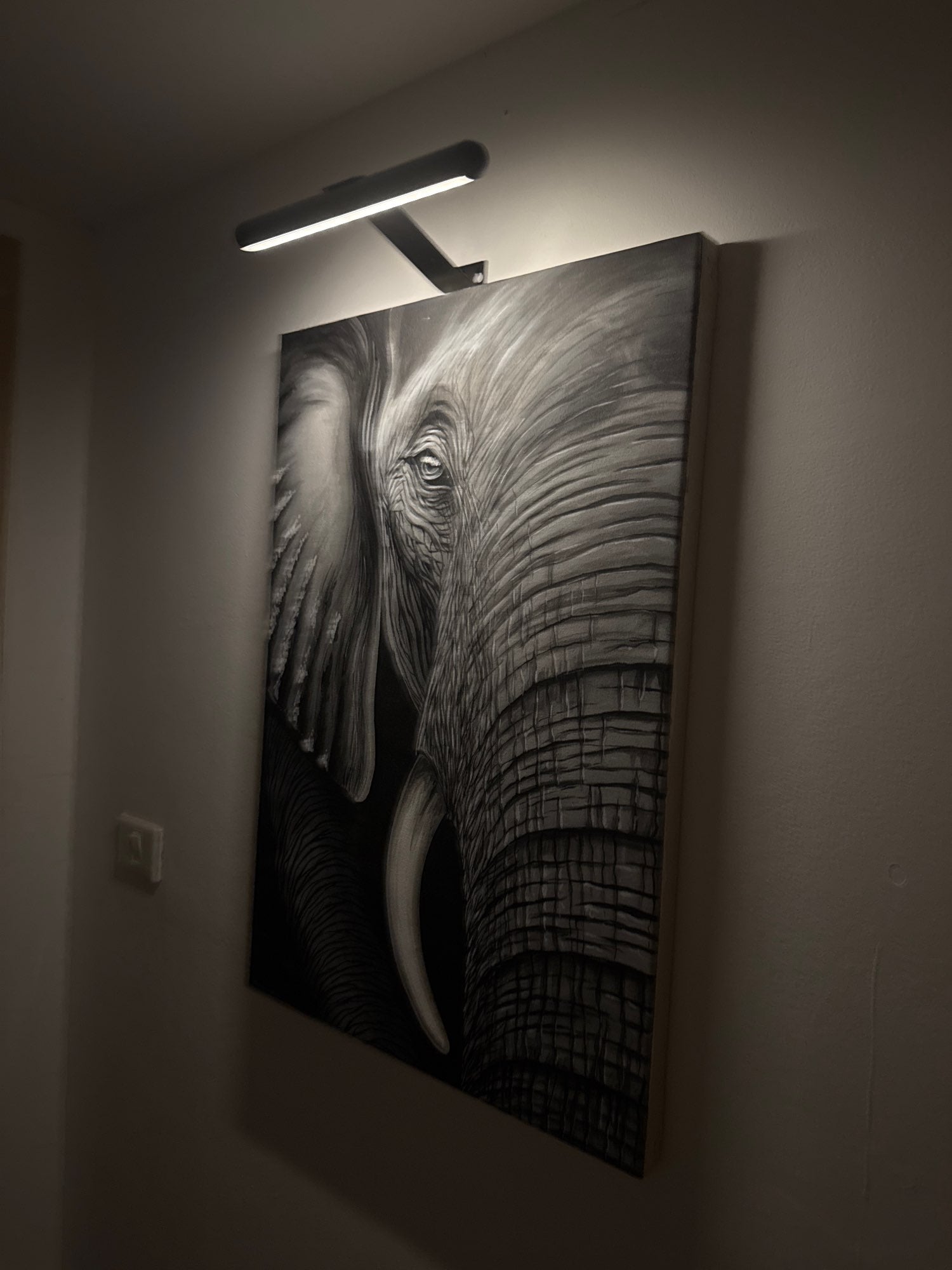 Wireless LED Art Light – Adjustable Wall Lamp for Display Pieces
